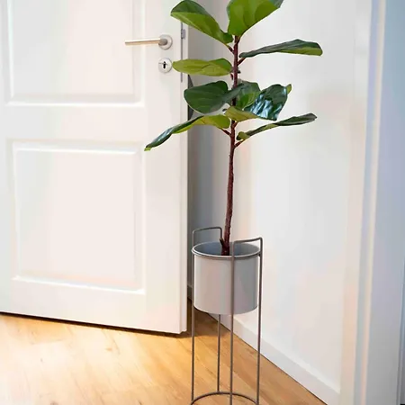 Gemuetliches Design In * Wolfsburg