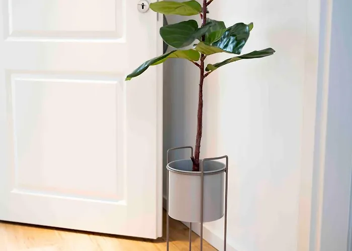 Gemütliches Design In * Wolfsburgo